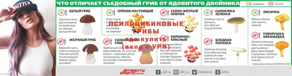 не бодяженный Арсеньев