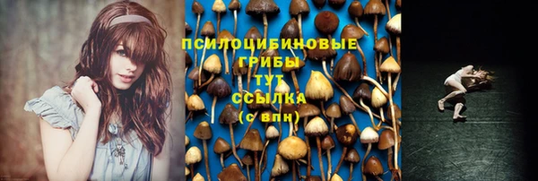 не бодяженный Арсеньев